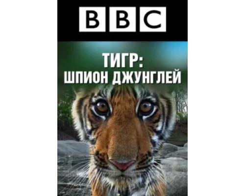 BBC: Тигр — Шпион джунглей сериал смотреть BBC: Тигр — Шпион джунглей сериал смотреть