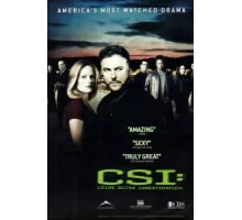 CSI: Место преступления Лас-Вегас ( 2000)
