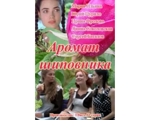 Аромат шиповника сериал смотреть Аромат шиповника сериал смотреть