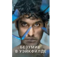 Безумие в Уэйкфилде ( 2021)
