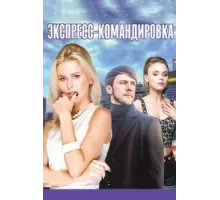 Экспресс-командировка ( 2016)