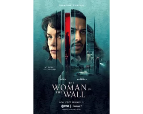 Женщина в стене  сериал смотреть