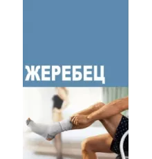 Жеребец ( 2009)