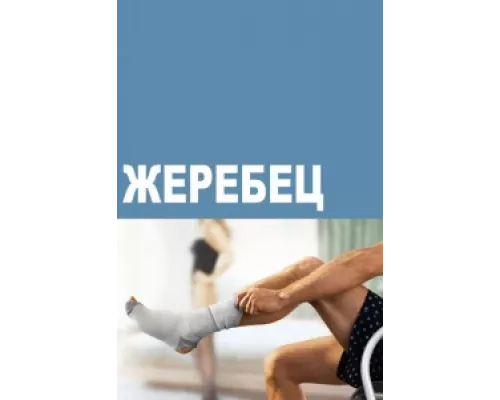 Жеребец сериал смотреть Жеребец сериал смотреть