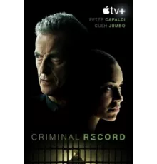 Криминальное прошлое ( 2024)