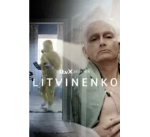 Литвиненко ( 2022)