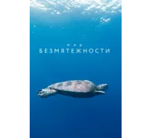 Мир безмятежности ( 2020)