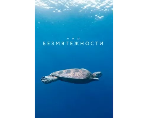 Мир безмятежности  сериал смотреть