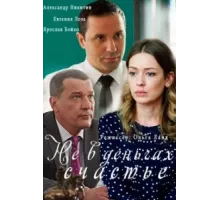 Не в деньгах счастье ( 2017)