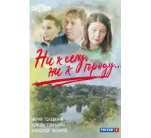 Ни к селу, ни к городу ( 2020)