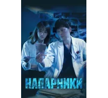Парочка следователей ( 2018)