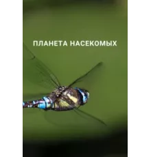 Планета насекомых ( 2022)