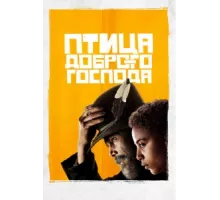 Птица доброго господа ( 2020)