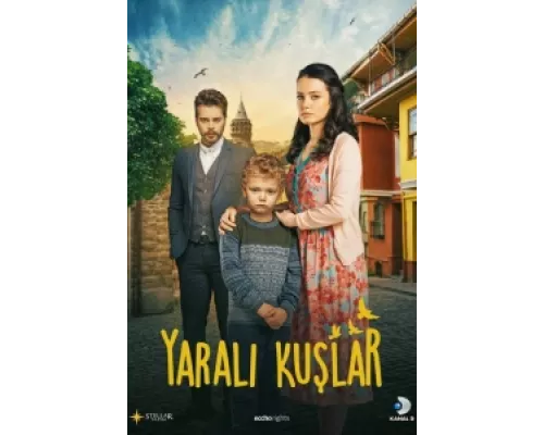 Раненые птицы сериал смотреть Раненые птицы сериал смотреть