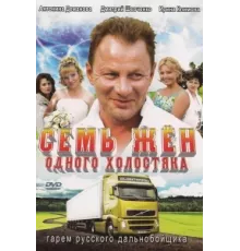 Семь жен одного холостяка ( 2009)