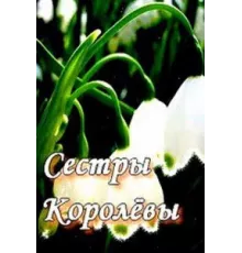 Сестры Королевы ( 2010)