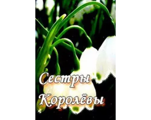 Сестры Королевы сериал смотреть Сестры Королевы сериал смотреть