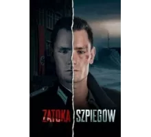 Шпионский залив ( 2023)