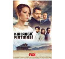 Шторм ласточки ( 2017)