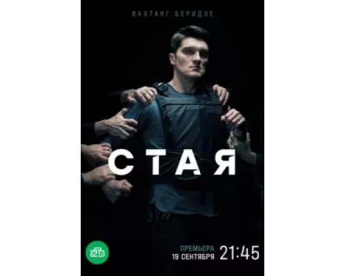 Стая сериал смотреть Стая сериал смотреть