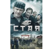 Стая  ( 2009)