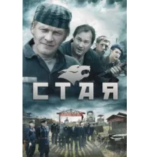 Стая  ( 2009)