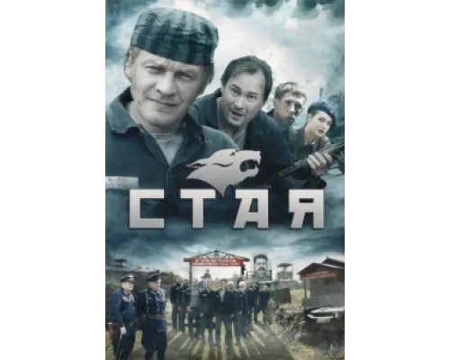 Стая   сериал смотреть