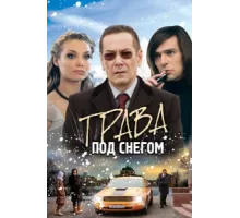 Трава под снегом ( 2010)