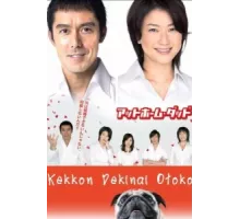 Убеждённый холостяк ( 2006)