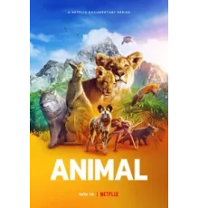 Удивительные животные ( 2021)