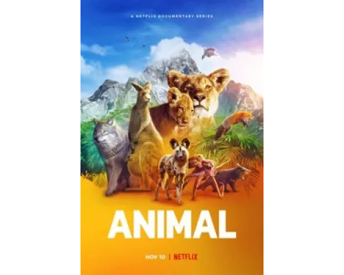 Удивительные животные сериал смотреть Удивительные животные сериал смотреть